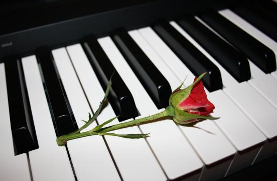 Роза на пианино. Фото Free for commercial use, No attribution required. Бесплатное стоковое фото для свободного скачивания