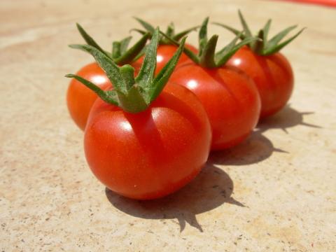 Маленькие помидоры. Фото Свободно для коммерческого использования, Атрибуция не требуется. Бесплатное стоковое фото для свободного скачивания