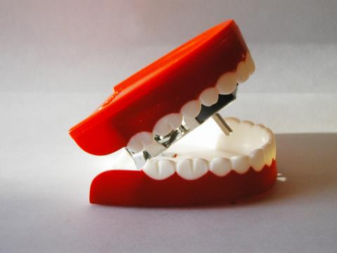 Слепок зубов. Фото Свободно для коммерческого использования, Атрибуция не требуется. Бесплатное стоковое фото для свободного скачивания