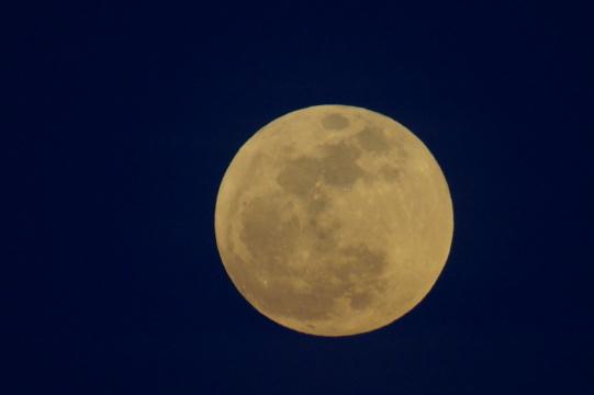Луна Планета Золотая. Фото Free for commercial use, No attribution required. Бесплатное стоковое фото для свободного скачивания