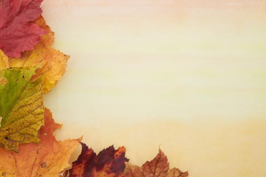 Осенний урожай, фон. Фото Free for commercial use, No attribution required. Бесплатное стоковое фото для свободного скачивания