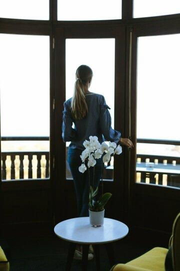 Орхидея и женщина у окна. Фото Свободно для коммерческого использования, Атрибуция не требуется. Бесплатное стоковое фото для свободного скачивания