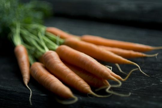 Пищевая морковь. Фото Свободно для коммерческого использования, Атрибуция не требуется. Бесплатное стоковое фото для свободного скачивания