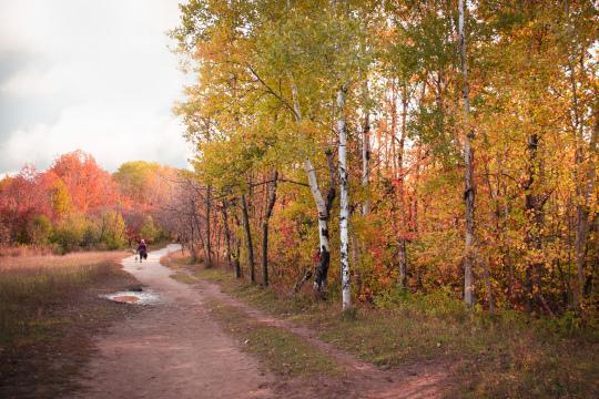 Осенний путь. Фото Свободно для коммерческого использования, Атрибуция не требуется. Бесплатное стоковое фото для свободного скачивания