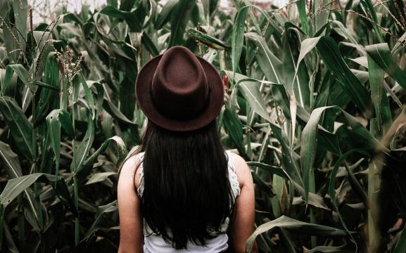 Девушка на кукурузном поле. Фото Free for commercial use, No attribution required. Бесплатное стоковое фото для свободного скачивания