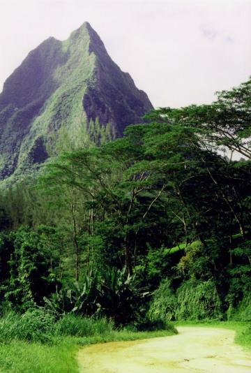Таитянская гора. Фото Свободно для коммерческого использования, Атрибуция не требуется. Бесплатное стоковое фото для свободного скачивания