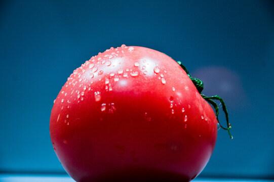 Красный помидор. Фото Свободно для коммерческого использования, Атрибуция не требуется. Бесплатное стоковое фото для свободного скачивания