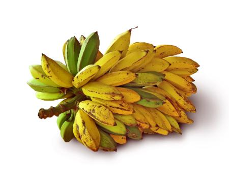 Спелые бананы. Фото Free for commercial use, No attribution required. Бесплатное стоковое фото для свободного скачивания