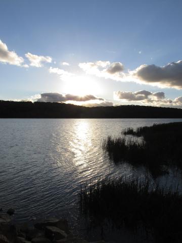 Закат на озере Листерфилд. Фото Free for commercial use, No attribution required. Бесплатное стоковое фото для свободного скачивания