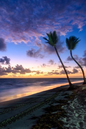 Тропический пляж. Фото Free for commercial use, No attribution required. Бесплатное стоковое фото для свободного скачивания