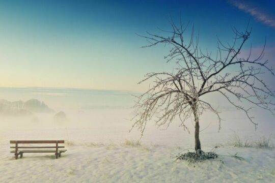 Скамейка в парке. Зима. Фото Free for commercial use, No attribution required. Бесплатное стоковое фото для свободного скачивания
